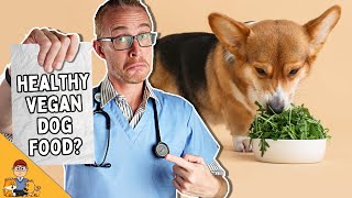 Is Vegan Dog Food Healthy Or Harmful? (Veterinarian Explains)