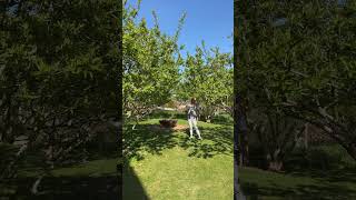 How to make a Hammockry #garden #backyard #hammock #outdoors #gathering #thyme #luxuryhotel #howto