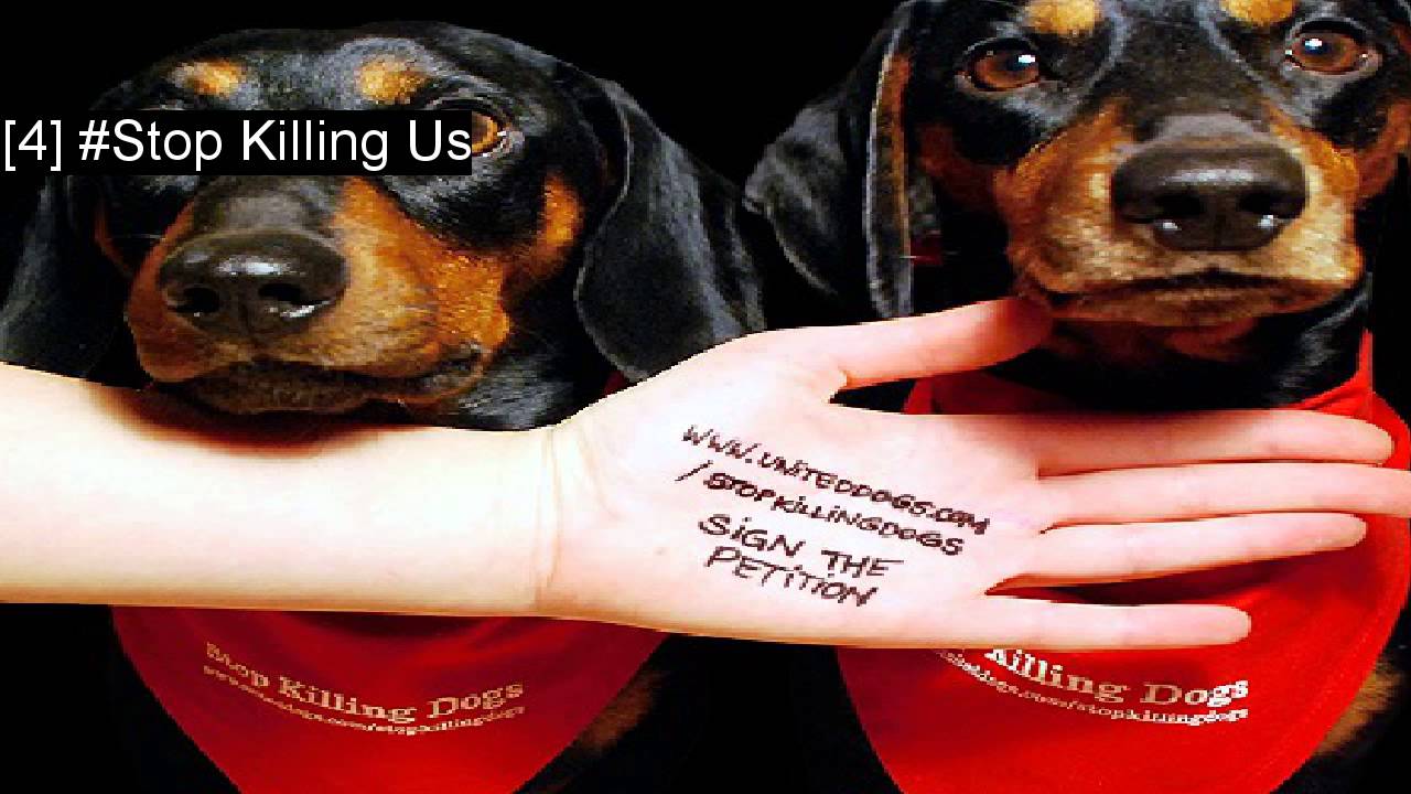 Top Twitter Trends For United States on 5/4/2015 YouTube