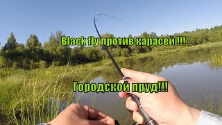 Black fly против карасей / Городской пруд / Мормышинг в жару