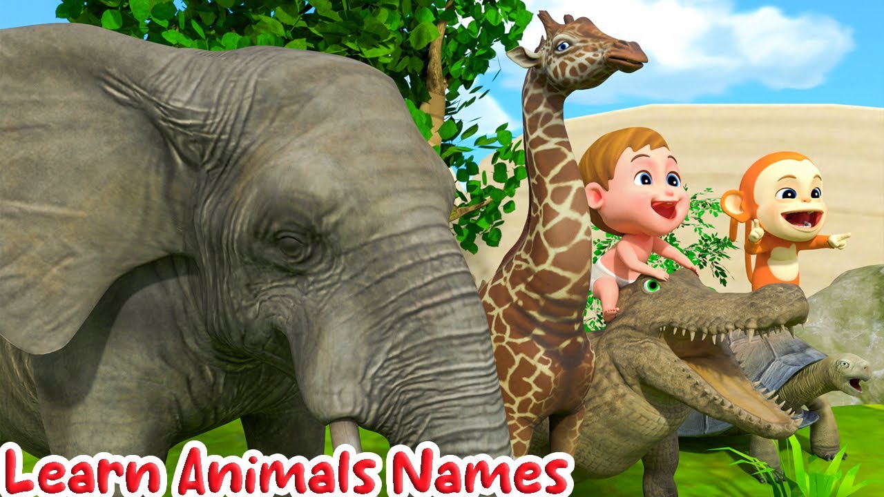 Learn Colors & Animals Names for Children | Wild Animals English - 3D Toddler Learning Videos