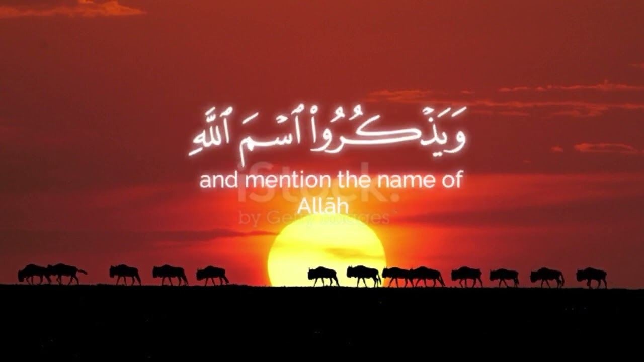 {وأذِّنْ في النّاسِ بِالحَجِّ يَأْتُوكَ رِجالًا}سورة الحج الاية 27