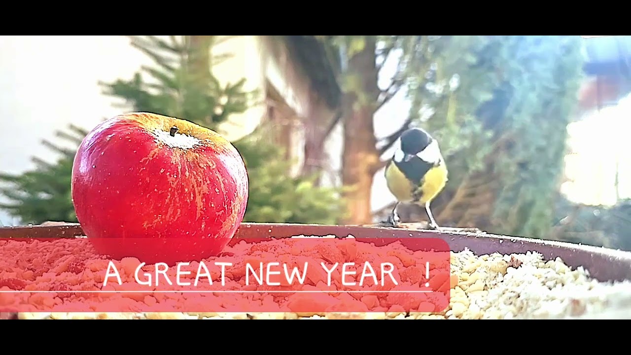 A GREAT NEW YEAR ! - YouTube