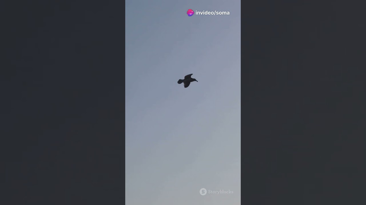 Lark - Animal / Bird lovers