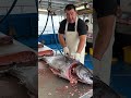 Massive Bluefin Tuna vs. Professional Blade: The Most Satisfying Full Process!
