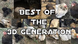 Best Of The 3d Generation