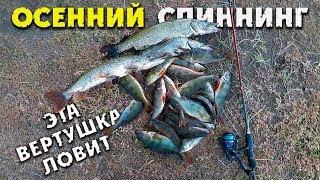 РЫБАЛКА ОСЕНЬЮ НА ЩУКУ И ОКУНЯ / Ловля на спиннинг в сентябре
