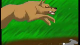 Wolf Animation