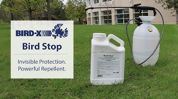Bird Stop: Invisible Liquid Bird Repellent