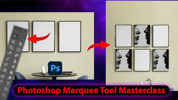 marquee Photoshop Tool Guide: How to Use Lasso, Polygonal & Magnetic Lasso in Photoshop