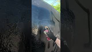 Color Combo: Black fill with a bright green outline.