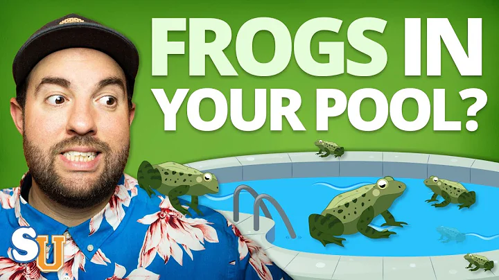 How to Keep FROGS Out of Your POOL For Good