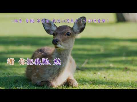 福音粵韻 45B我的心渴慕主(卡拉OK音樂)（稍慢版）（調寄：相思河畔）葉世堅填詞 （約翰福音 7：37）