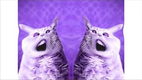 Numa Cat In V Major In Blind In RJ KUMAR VERSION OF I KILLED