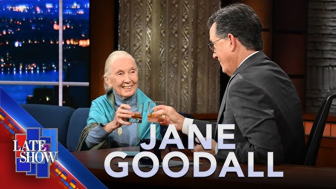 Jane Goodall On Voting To Save The Planet, And Why Male Politicians Are  Like Chimpanzees