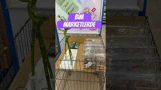 Bi̇m Marketlerde Bambulari Gördünüz Mü