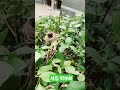 새집 알에서 막부화했네요