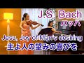  bach  jesu joy of mans desiring