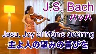 心が整うバッハの名曲主よ人の望みの喜びを Bach Jesu, Joy Of Mans Desiring