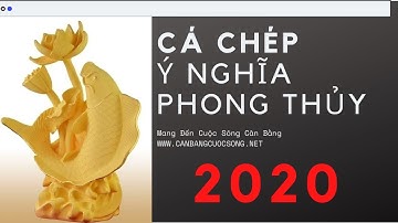 CÁ CHÉP Ý NGHĨA TRONG PHONG THỦY.