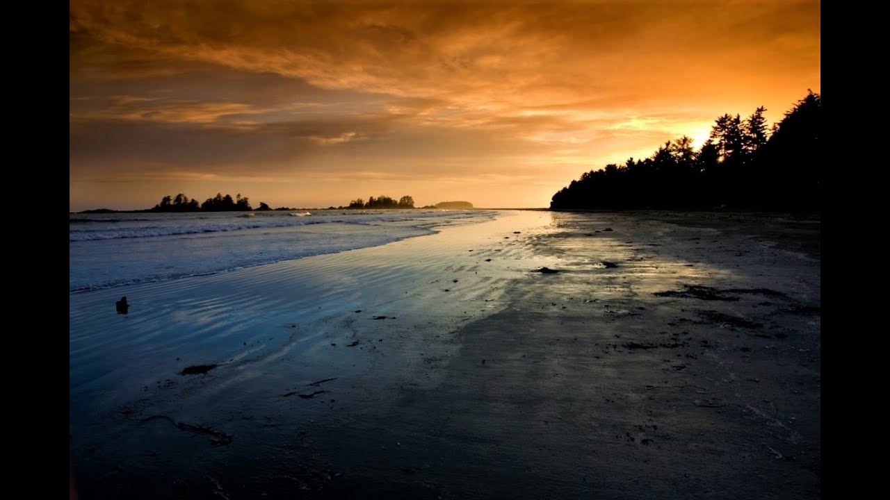 B.C. issues 52 invitations in new Tech Pilot draw