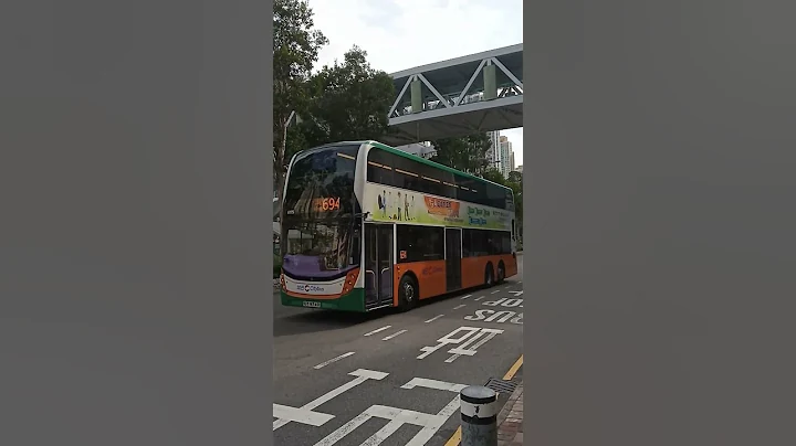 #017【告别新巴系列 - 路线篇】Ep.17: 新巴694 @ 6175 (UY9740) 驶经尚德邨 - 来往调景岭站及小西湾邨 #shorts - 天天要闻