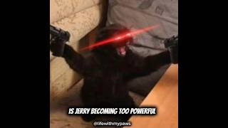 ❗Jerry's 10 Day Evil Training Just Got Real😳❗ #jerry #fypppp #kitten #funny #usashorts
