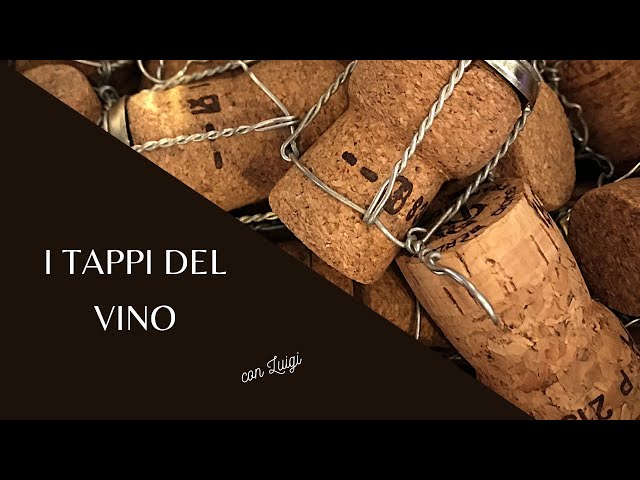 I tappi del vino 