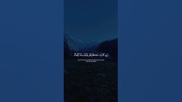 اكتب شيء تؤجر عليه 🩶😴 / القارئ عبد الرحمن مسعد