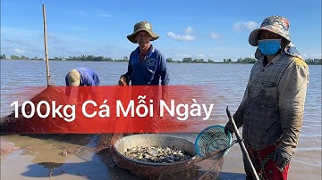 "KÉO LƯỚI TÚI" Cách Bắt Cá Độc Đáo Và Hiệu Quả Nhất Mùa Nước Rút | Bông Lúa Đồng Tháp