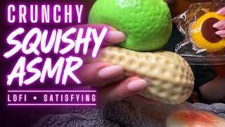 CRUNCHY Squishy ASMR 🥜 | Lo-Fi Gripping, Squeezing & Satisfying Sounds