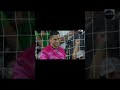  MLS ALL STARS VS. LIGA MX ALL STARS #mls #ligamx #highlights 