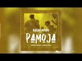 VAIRAS MDUDU SONG PAMOJAA Official Audiooo 