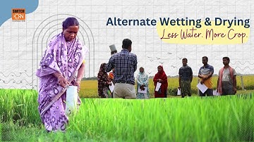 Understanding Alternate Wet and Drying : A Climate-Smart Farming Technique