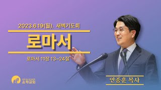 20230619 새벽예배(월) 실시간 (롬 11:13-24) 안종훈 목사
