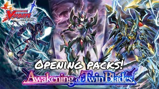 After the success of domo's pack openings from awakening twin blades,
he waited for solo clan rate ups to see if can complete his shadow
paladi...