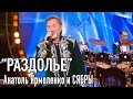 &quot;Раздолье&quot; - Анатоль Ярмоленко и СЯБРЫ (HD)