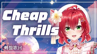 Cheap Thrills 無價娛樂 - Sia | 吉他彈唱 Cover 綾音Ring【歌回剪輯｜中英字幕】