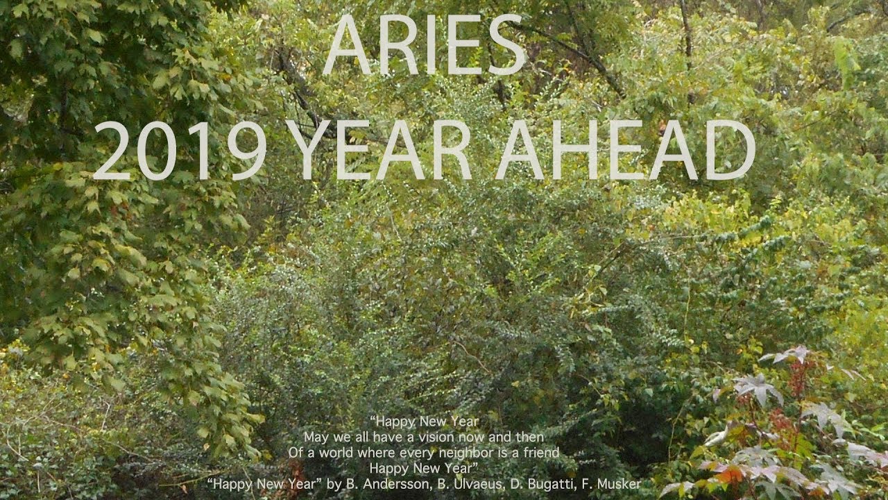 Aries 2019 YEAR AHEAD FORECAST SNEAK PEEK