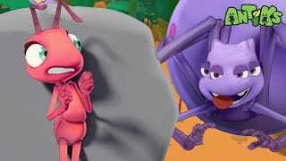 Hide And Shriek | 😄🐜| Antiks Adventures - Joey and Boo's Playtime by Antiks Adventures - Joey and Boo's Playtime 27,677 views 3 weeks ago 1 hour, 35 minutes