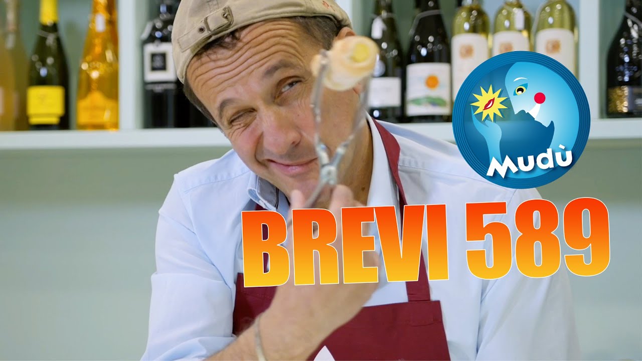 Mudù - Le Brevissime 589