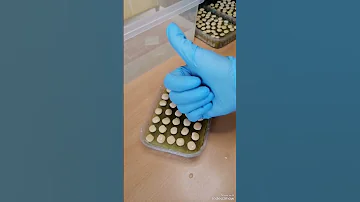 Это можно есть? Люпин БЕЛЫЙ? МОЖНО! Сеем на микрозелень! Идеально для декора блюд ресторанов и кафе!