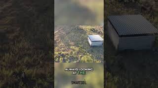 Happy Pigs: Keyline Design and Pasture-Raised Life #shorts Happy Pigs: Keyline Design and Pasture-Raised Life #shorts