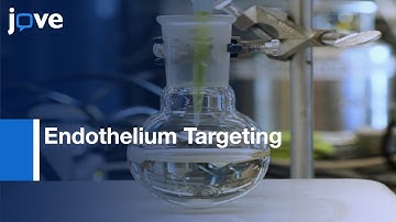 Synthesis: Functionalized 10-nm Polymer-Coated Gold Particles: Drug Delivery l Protocol Preview