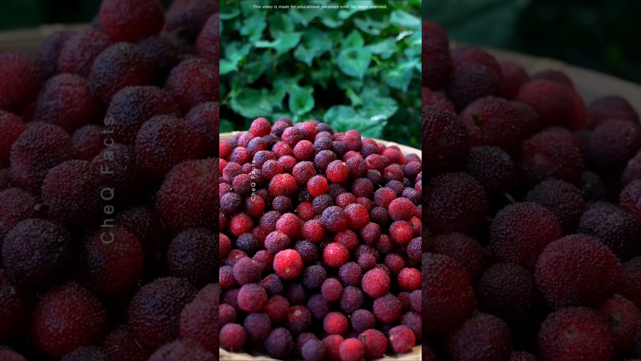 Rare Indian Fruits 90% People Don’t Know About! #shorts #plants #farming