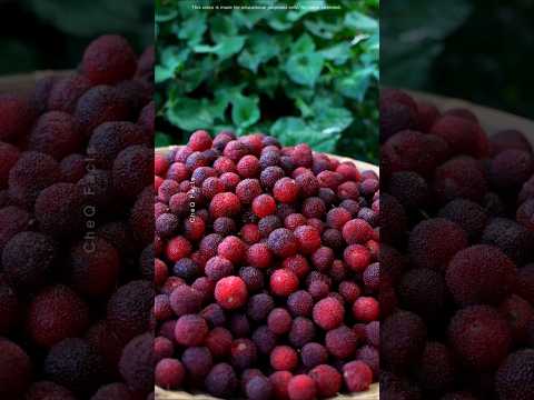 Rare Indian Fruits 90% People Don’t Know About! #shorts #plants #farming