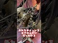 自転車のチェーンが外れて困っている女性を助けたい野郎達へ#自転車 #電動自転車 #電動アシスト自転車 #ebike #交通安全 #交通ルール #echarity