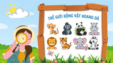 Bé học từ vựng tiếng anh qua các con vật hoang dã | Wild Animals (P1)