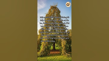 Triết Lý Cuộc Sống: Khiêm Tốn Là Sức Mạnh, Kiêu Căng Chỉ Mang Đến Thất Bạ