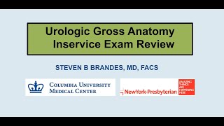 Urologic Gross Anatomy  EMPIRE Urology In Service Review